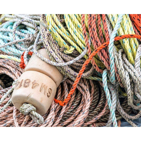 Knowing the Ropes I White Modern Wood Framed Art Print by Head, Danny