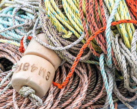 Knowing the Ropes I White Modern Wood Framed Art Print with Double Matting by Head, Danny