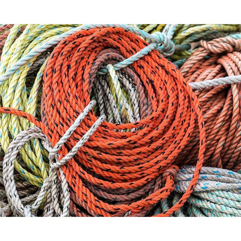 Knowing the Ropes II Gold Ornate Wood Framed Art Print with Double Matting by Head, Danny