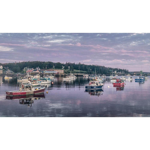 Working Harbor II White Modern Wood Framed Art Print by Head, Danny