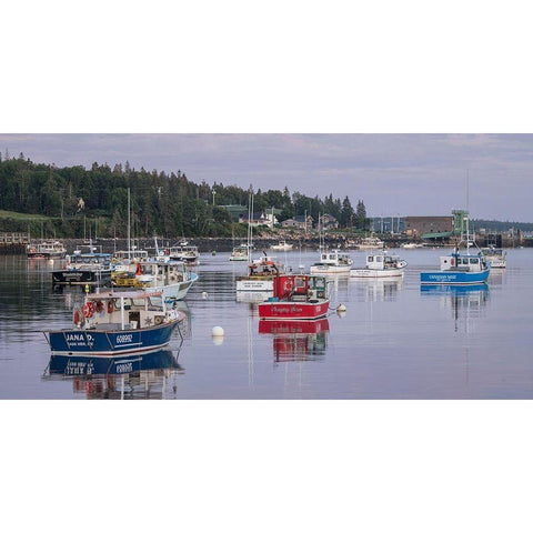 Working Harbor III White Modern Wood Framed Art Print by Head, Danny