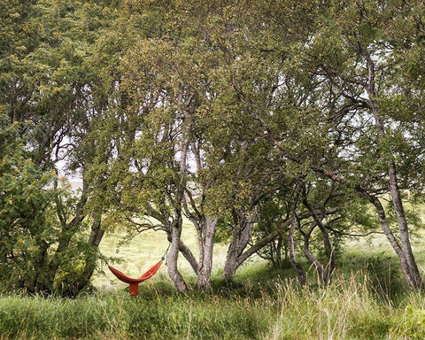 Red Hammock White Modern Wood Framed Art Print with Double Matting by Head, Danny