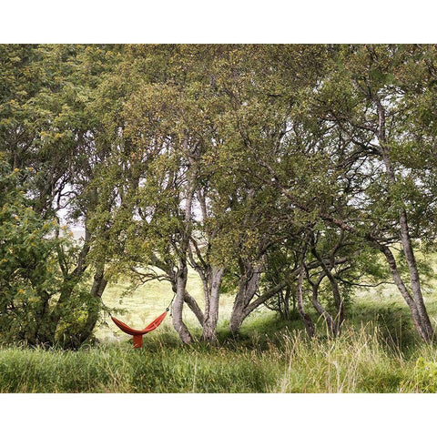 Red Hammock Black Modern Wood Framed Art Print by Head, Danny