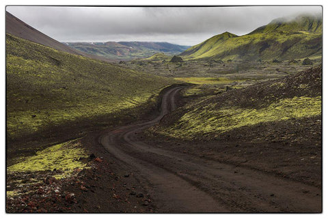 Chocolate Mint Black Ornate Wood Framed Art Print with Double Matting by Head, Danny