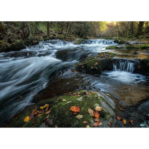 Mossy Rocks Gold Ornate Wood Framed Art Print with Double Matting by Head, Danny