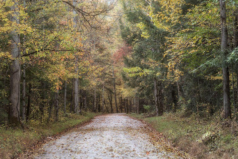 Crusing Greenbrier II White Modern Wood Framed Art Print with Double Matting by Head, Danny