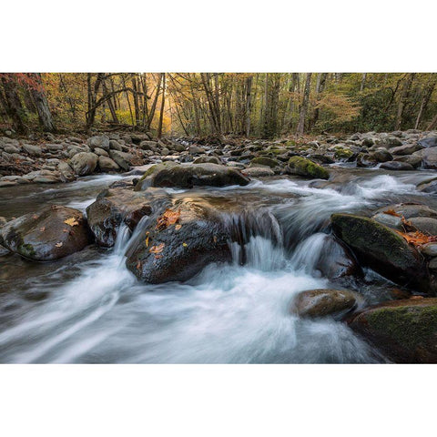 Rust Leaf Black Modern Wood Framed Art Print with Double Matting by Head, Danny