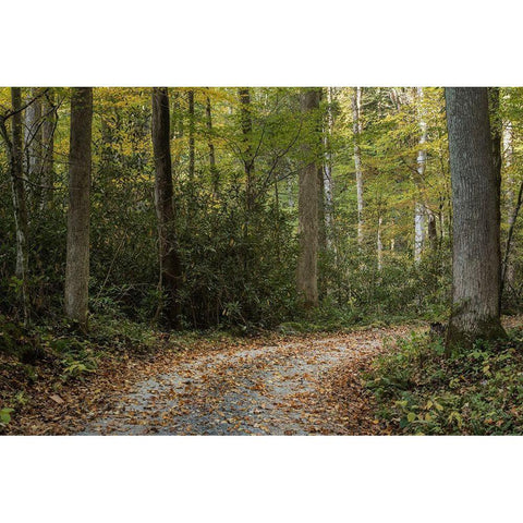 Turning Right White Modern Wood Framed Art Print by Head, Danny