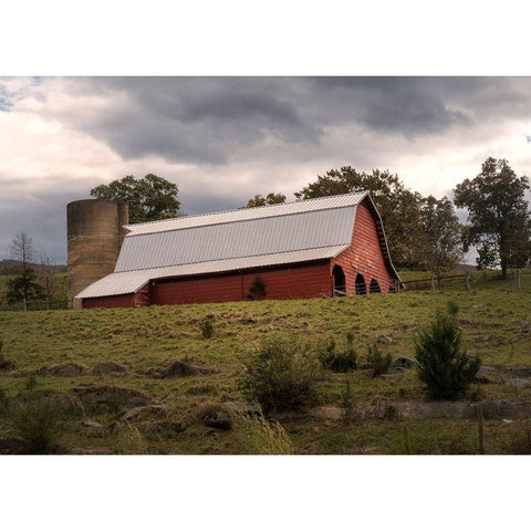 Barn at Bush Farms White Modern Wood Framed Art Print by Head, Danny