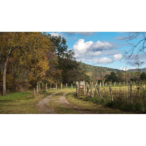 Between the Fences White Modern Wood Framed Art Print by Head, Danny