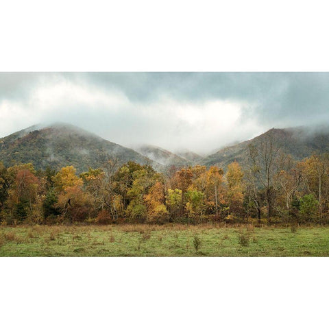 Misty Cove I Black Modern Wood Framed Art Print with Double Matting by Head, Danny