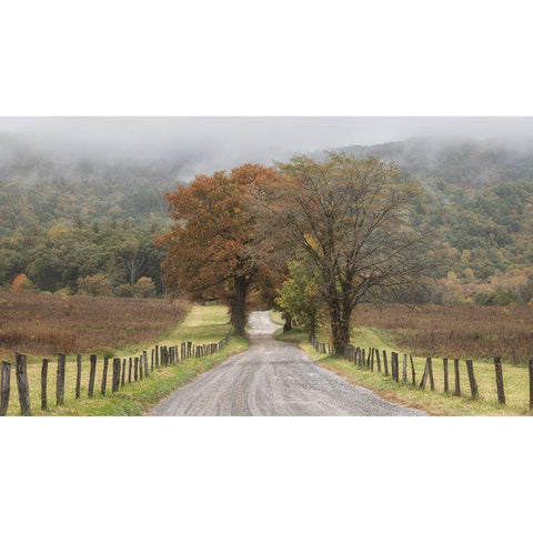 Looking Back White Modern Wood Framed Art Print by Head, Danny