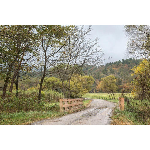 Cove Crossing White Modern Wood Framed Art Print by Head, Danny