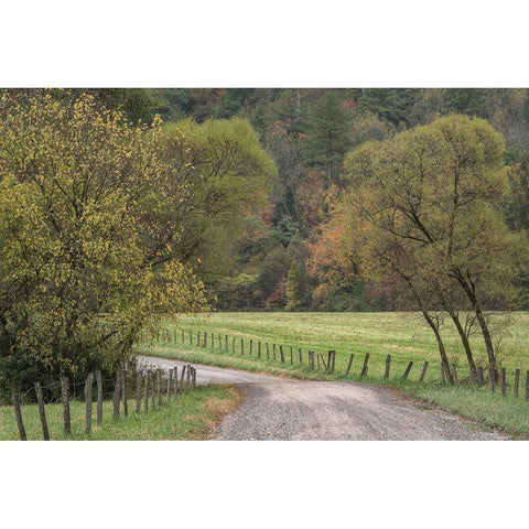 Roads and Fences Gold Ornate Wood Framed Art Print with Double Matting by Head, Danny