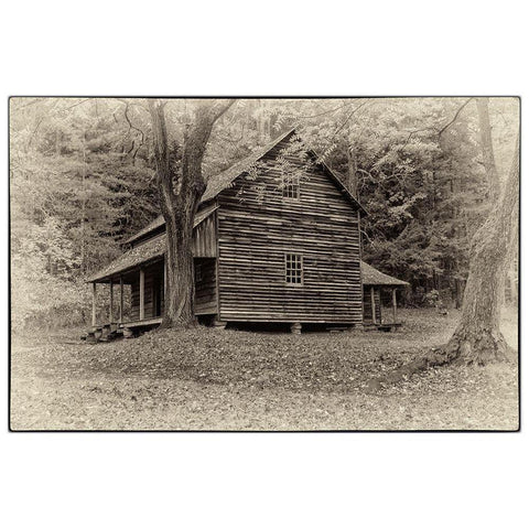 Early Cabin Gold Ornate Wood Framed Art Print with Double Matting by Head, Danny