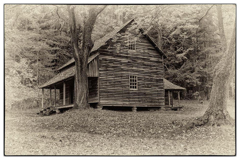 Early Cabin Black Ornate Wood Framed Art Print with Double Matting by Head, Danny