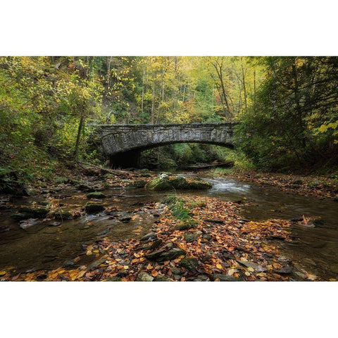 Arched Bridge Gold Ornate Wood Framed Art Print with Double Matting by Head, Danny