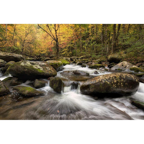 Autumn at Tremont I Gold Ornate Wood Framed Art Print with Double Matting by Head, Danny