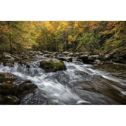 Autumn at Tremont III Gold Ornate Wood Framed Art Print with Double Matting by Head, Danny