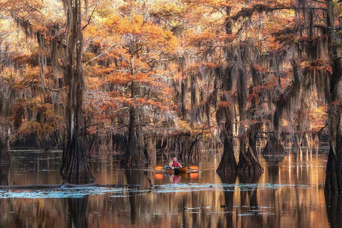 Bayou Kayaker White Modern Wood Framed Art Print with Double Matting by Head, Danny