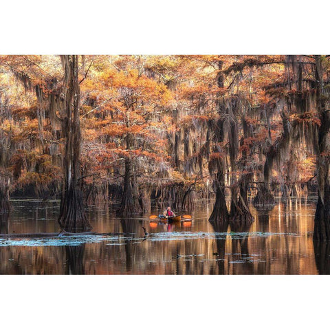 Bayou Kayaker White Modern Wood Framed Art Print by Head, Danny