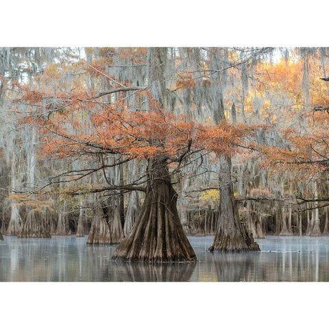 The Dancers Black Modern Wood Framed Art Print with Double Matting by Head, Danny