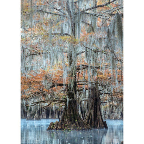 Hues of Blue Black Modern Wood Framed Art Print by Head, Danny