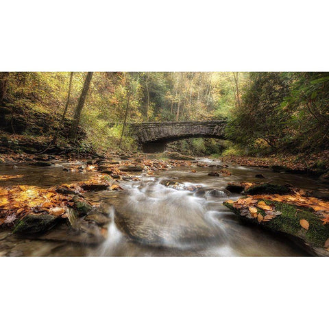 The Arch in Autumn Black Modern Wood Framed Art Print with Double Matting by Head, Danny