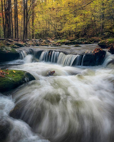 In Deep White Modern Wood Framed Art Print with Double Matting by Head, Danny