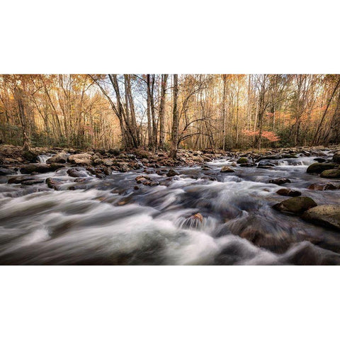 Rivers Fork Gold Ornate Wood Framed Art Print with Double Matting by Head, Danny