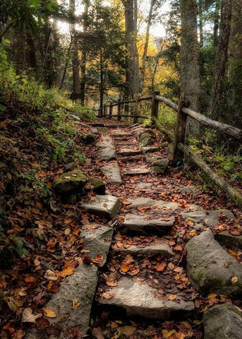 Step It Up White Modern Wood Framed Art Print with Double Matting by Head, Danny