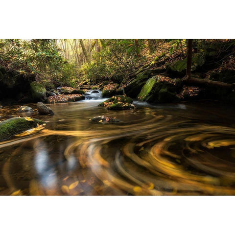 Moving Autumn I Black Modern Wood Framed Art Print with Double Matting by Head, Danny