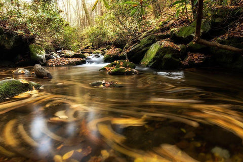 Moving Autumn IV White Modern Wood Framed Art Print with Double Matting by Head, Danny