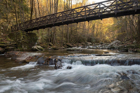 Bridge to Autumn I White Modern Wood Framed Art Print with Double Matting by Head, Danny