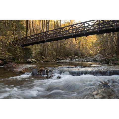 Bridge to Autumn I Gold Ornate Wood Framed Art Print with Double Matting by Head, Danny