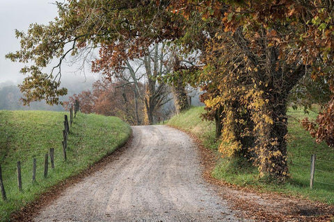 Hyatt Lane I White Modern Wood Framed Art Print with Double Matting by Head, Danny