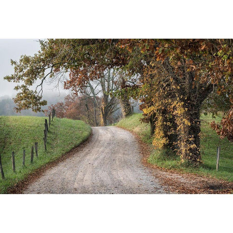 Hyatt Lane I Black Modern Wood Framed Art Print by Head, Danny