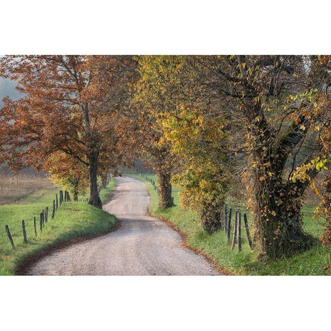 Hyatt Lane III Black Modern Wood Framed Art Print with Double Matting by Head, Danny