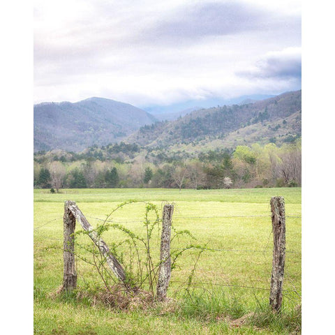 Cove Fence Gold Ornate Wood Framed Art Print with Double Matting by Head, Danny