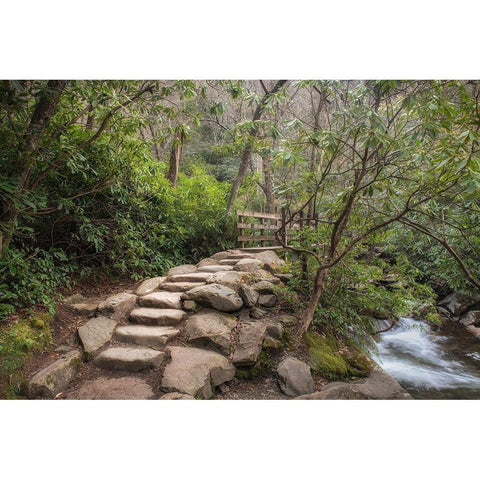 Stone Steps Gold Ornate Wood Framed Art Print with Double Matting by Head, Danny