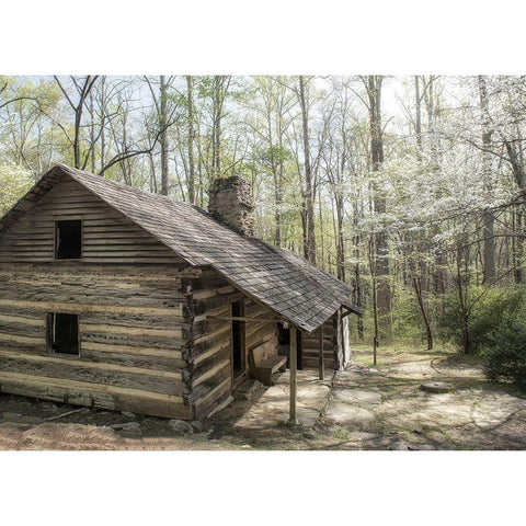 Hikers Cabin Black Modern Wood Framed Art Print with Double Matting by Head, Danny