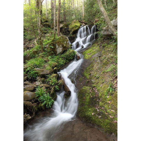 Woven Silk II Black Modern Wood Framed Art Print with Double Matting by Head, Danny