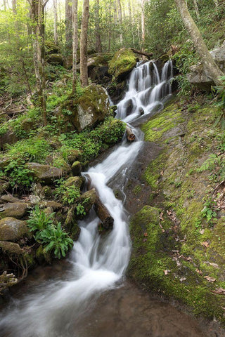 Woven Silk II Black Ornate Wood Framed Art Print with Double Matting by Head, Danny