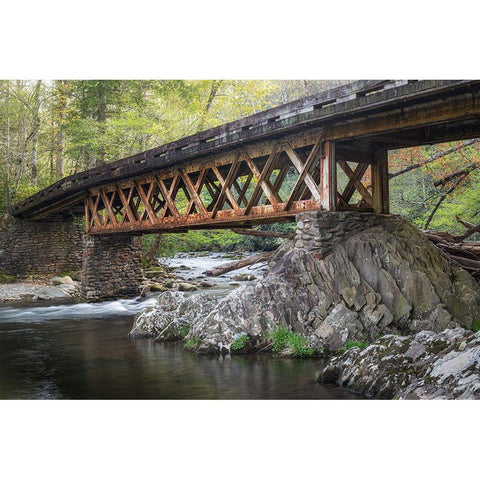 Rusty Bridge Gold Ornate Wood Framed Art Print with Double Matting by Head, Danny