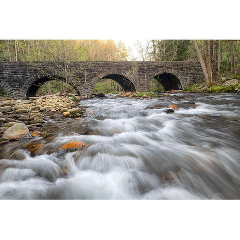 Stone Bridge Gold Ornate Wood Framed Art Print with Double Matting by Head, Danny