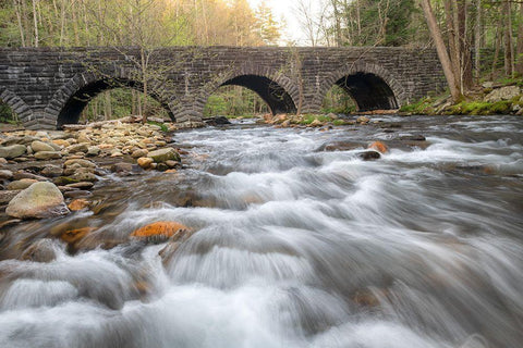 Stone Bridge White Modern Wood Framed Art Print with Double Matting by Head, Danny