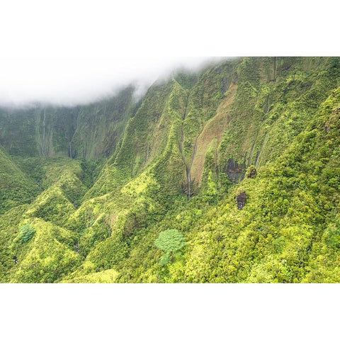 Water Ribbons II White Modern Wood Framed Art Print by Head, Danny