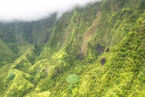 Water Ribbons II White Modern Wood Framed Art Print with Double Matting by Head, Danny