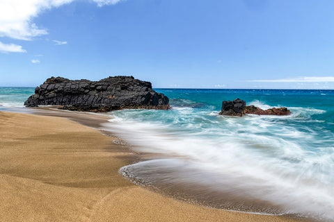 Silky Surf III Black Ornate Wood Framed Art Print with Double Matting by Head, Danny