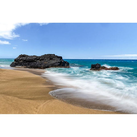 Silky Surf III Gold Ornate Wood Framed Art Print with Double Matting by Head, Danny